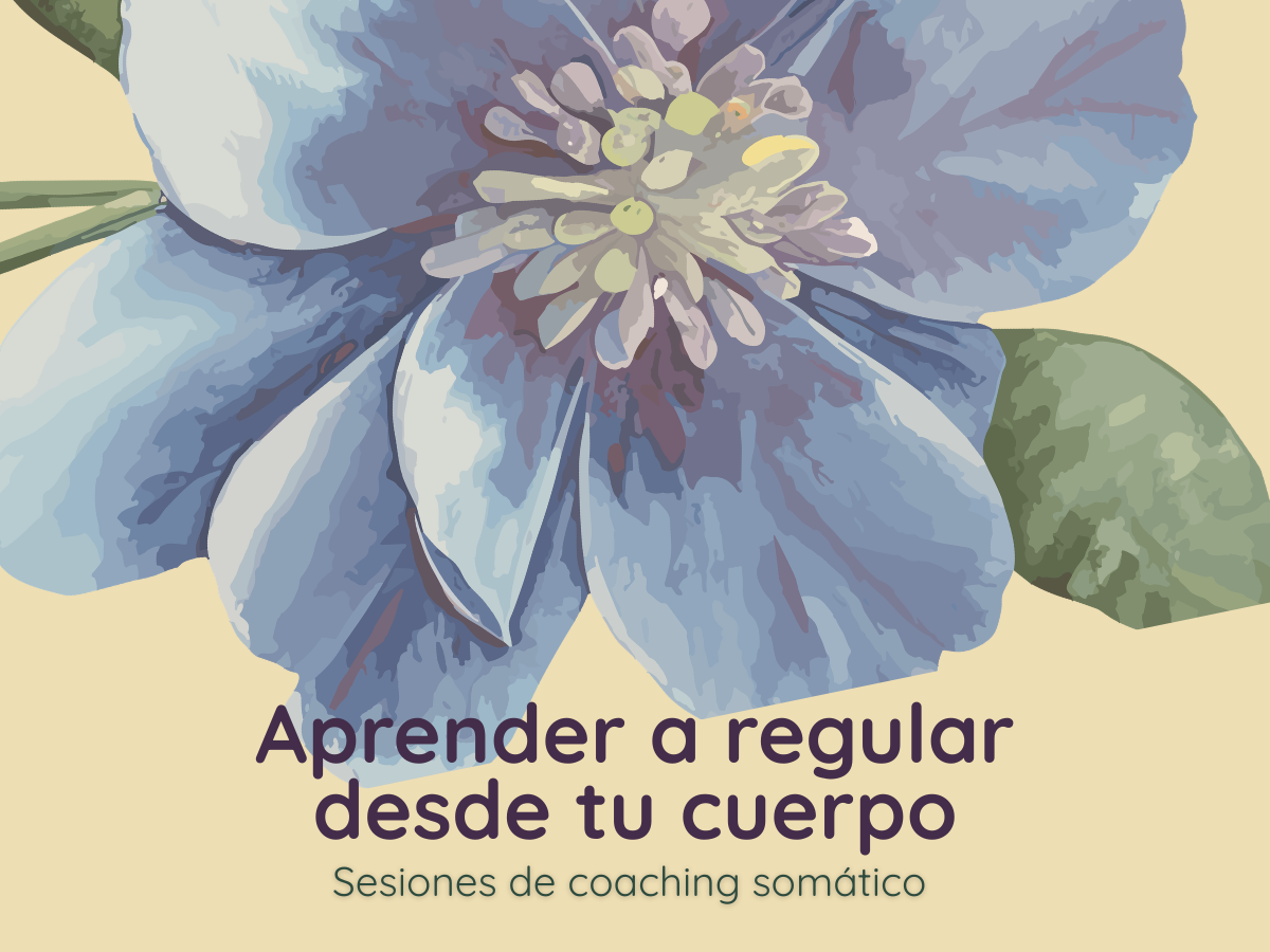 Sesi&oacute;n de coaching som&aacute;tico 1:1
